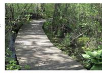 Marblehead Neck Wildlife Sanctuary