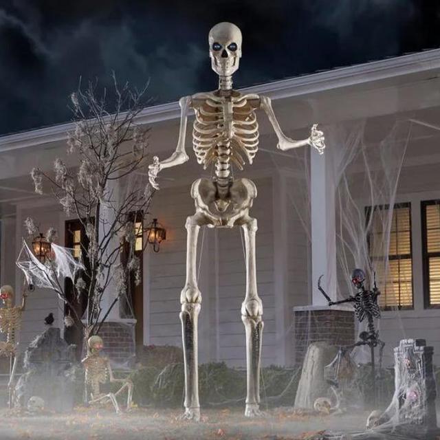 Home Depot 12ft Skeleton fund