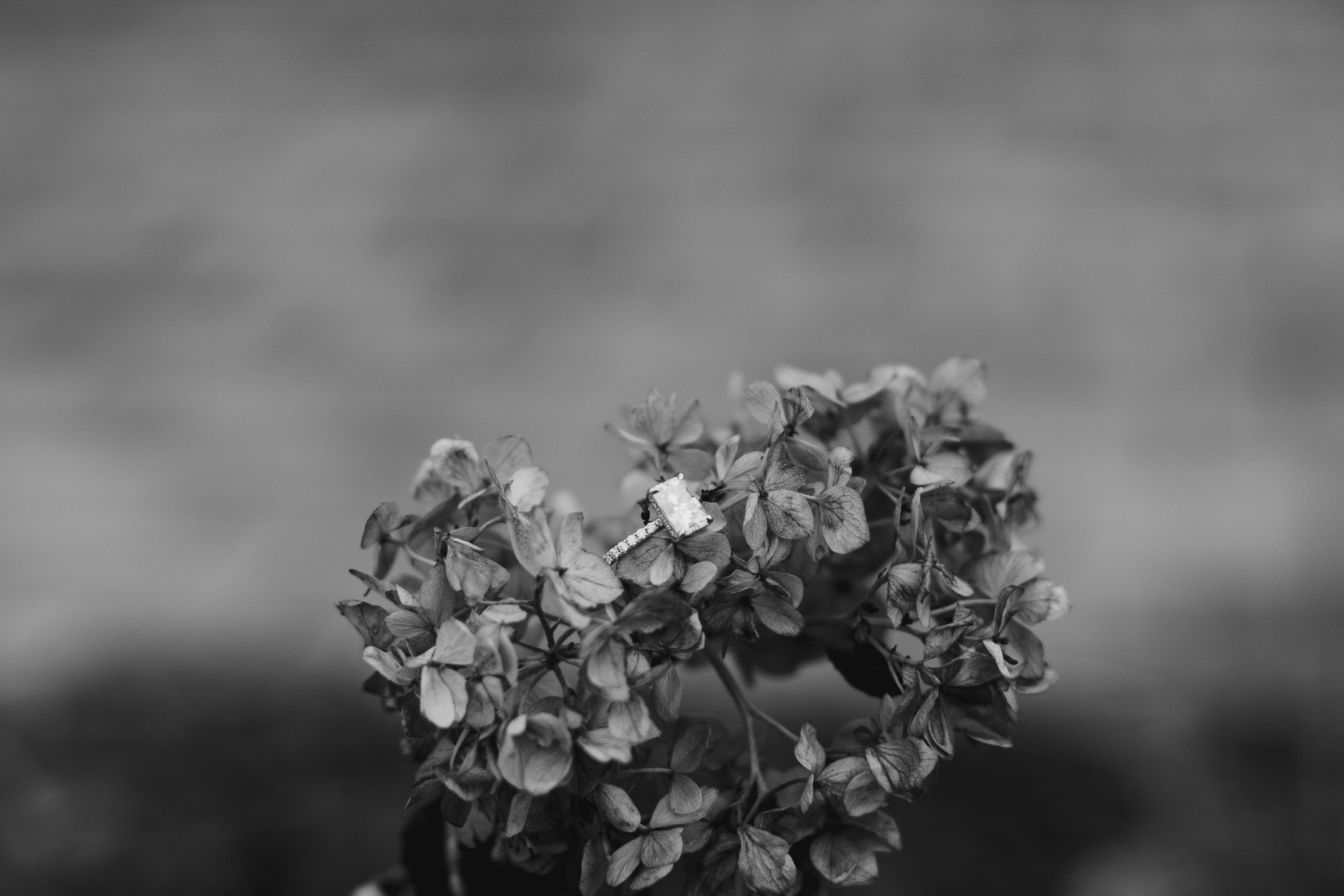 The Wedding Website of Abby Welch and Ethan Eitutis