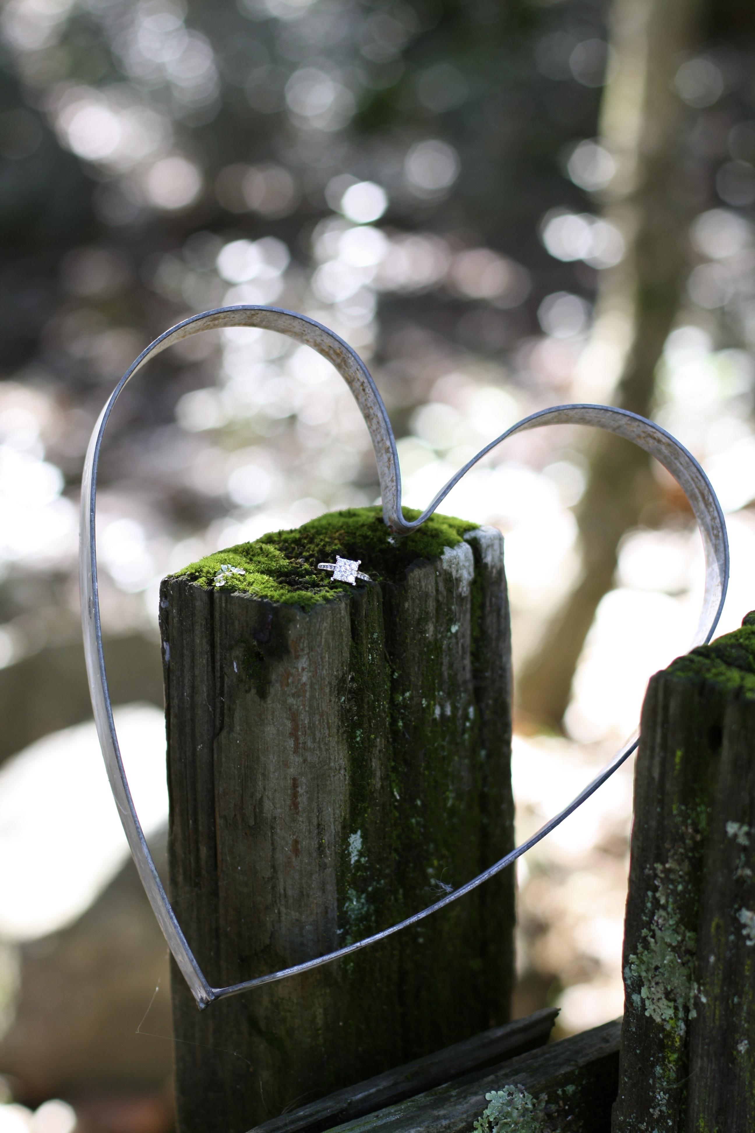 d7a6697c-379c-45a8-91c6-c8c9eb8ca504