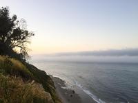 Douglas Family Preserve