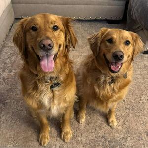 Dog Treat Fund