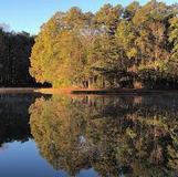 Dan Nicholas Park