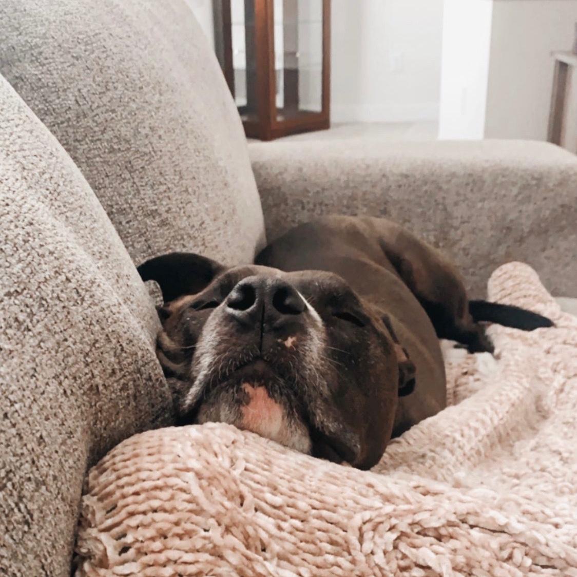 Cuddle buddy