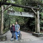 Muir Woods National Monument