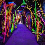 Meow Wolf Santa Fe