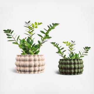 Cindy 2-Piece 3D Printed Bubble Planter Set
