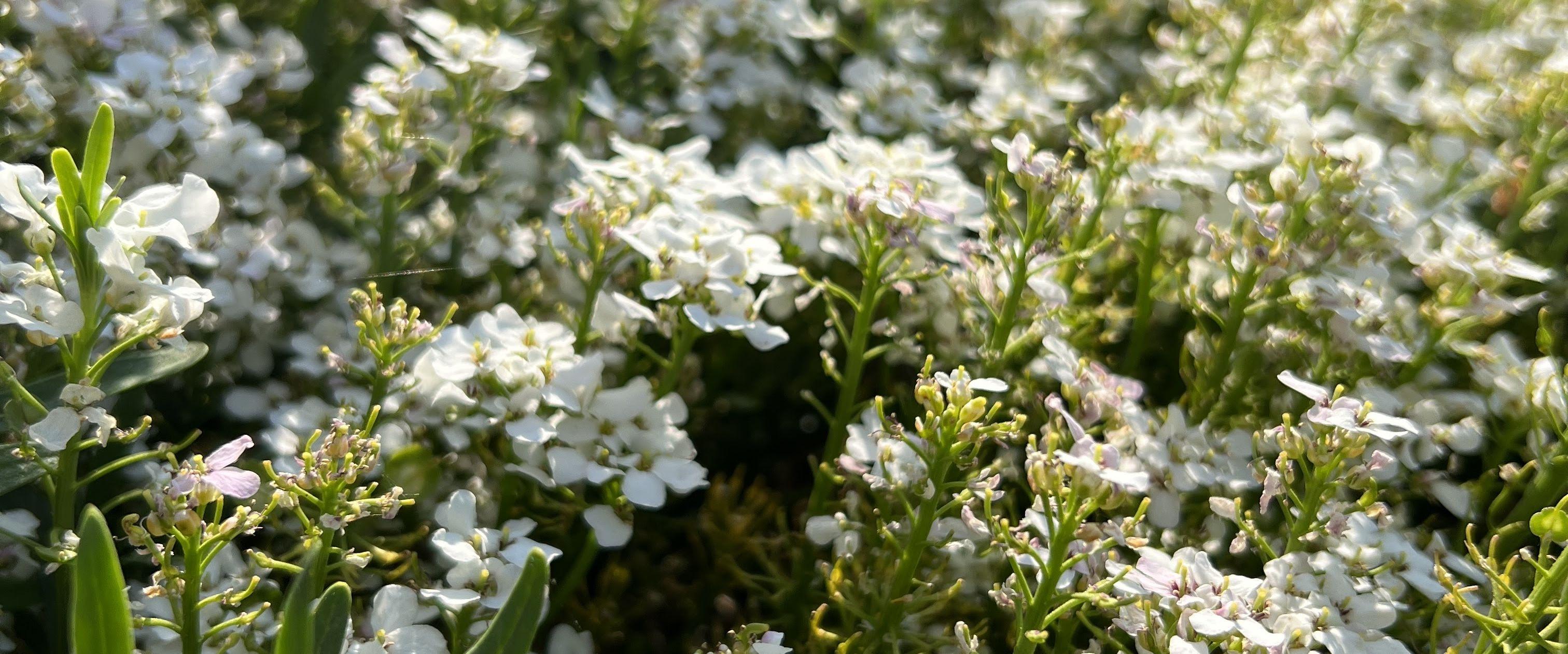 d7b16ce6-f708-4f09-8379-a05af2da09af