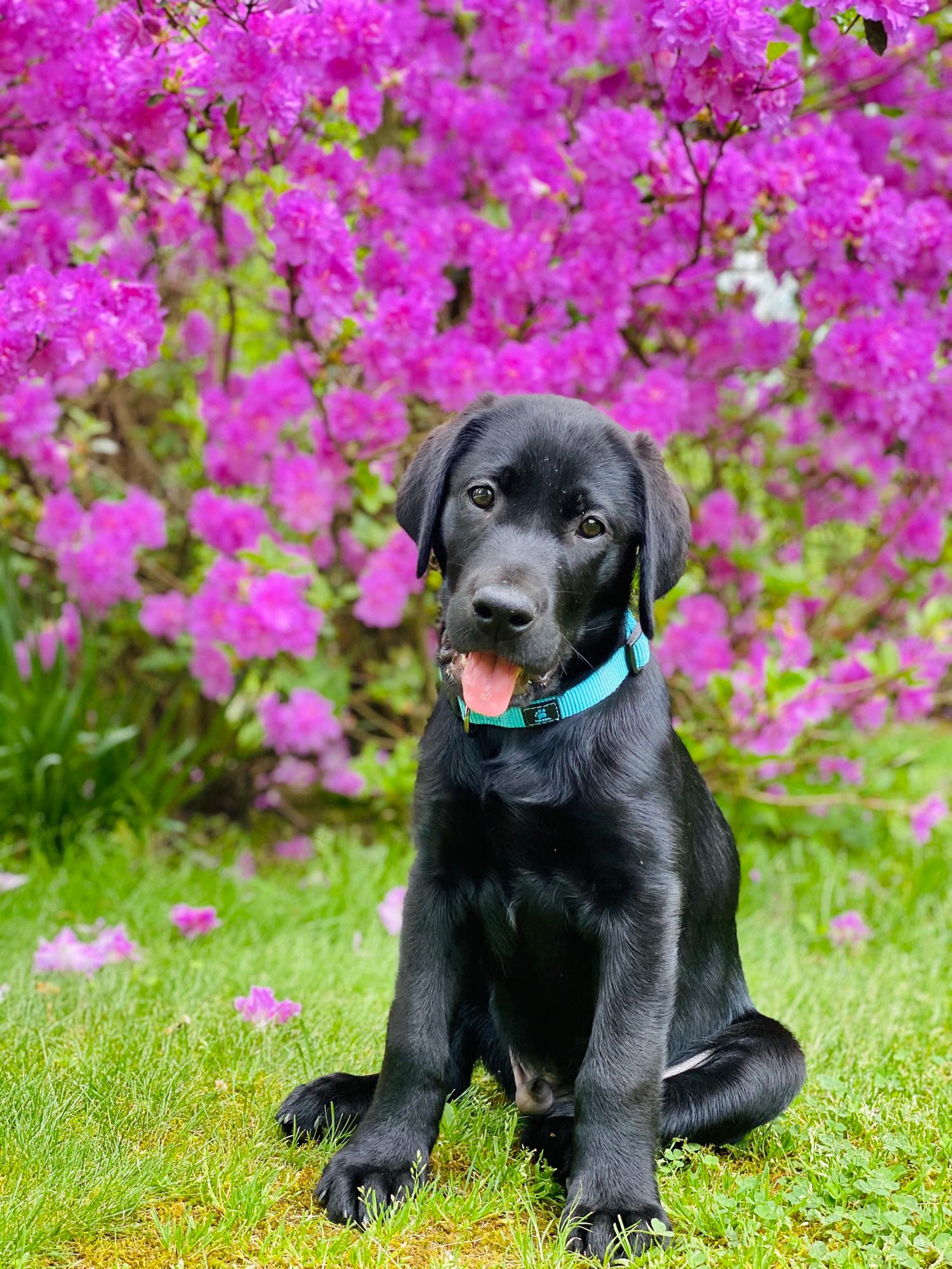 Happy Boy!