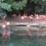 Parque Zoológico Nacional