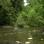 Mohican State Scenic River