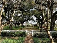 Cane River Creole National Historical Park