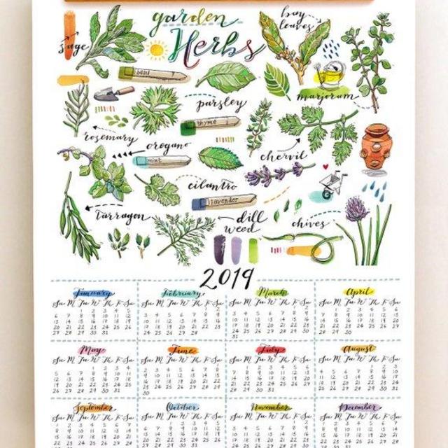 2019 Wall Calendar. Herbs. Kitchen decor. 11x17. Garden. Cook. Chef.