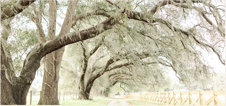 The Wedding Website of Stephanie Rogg and Corey Lawton
