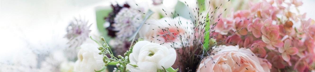 The Wedding Website of Annie Shutelock and John Rake