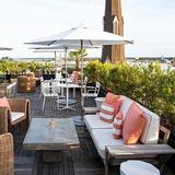 Citrus Club