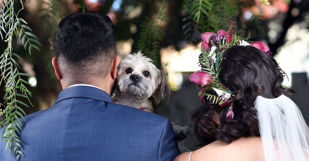 The Wedding Website of Kevin Shah and Erica Shah