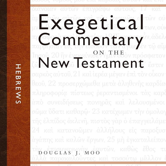 Hebrews (Zondervan Exegetical Commentary on the New Testament)