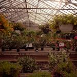 Bennett's Greenhouse
