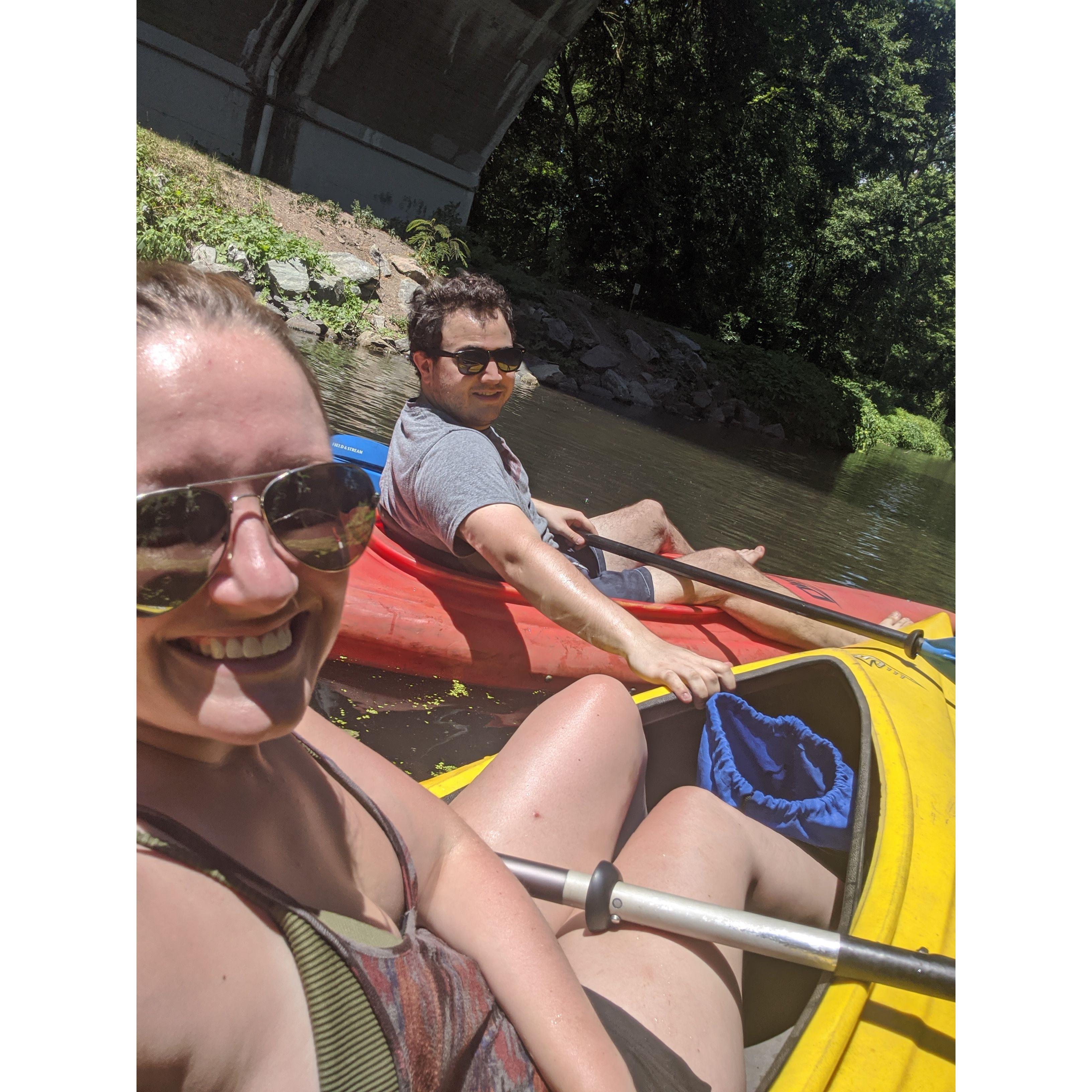 We saw tons of turtles while kayaking this day and have gone many times since!