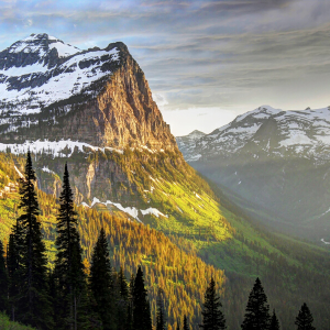 National Parks Donation