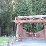 Sequoia Park