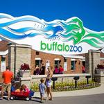 The Buffalo Zoo
