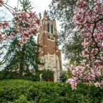 Michigan State University