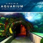 Virginia Aquarium And Marine Science Center