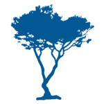 Blue Cypress Books