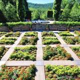 The North Carolina Arboretum