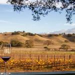 Santa Barbara Wine Tastings
