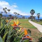 Shoreline Park