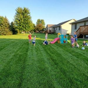 A Big Green Grass Yard For Little Bear