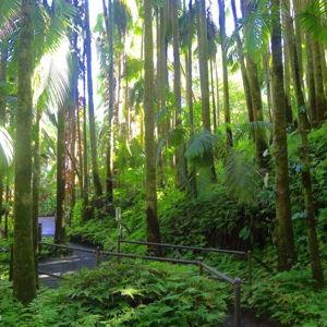 Ho'omahluhia Botanical Garden Entry