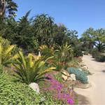 San Diego Botanic Garden