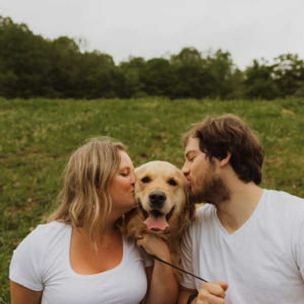 Our Pet Toy Fund