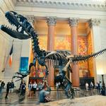 American Museum of Natural History