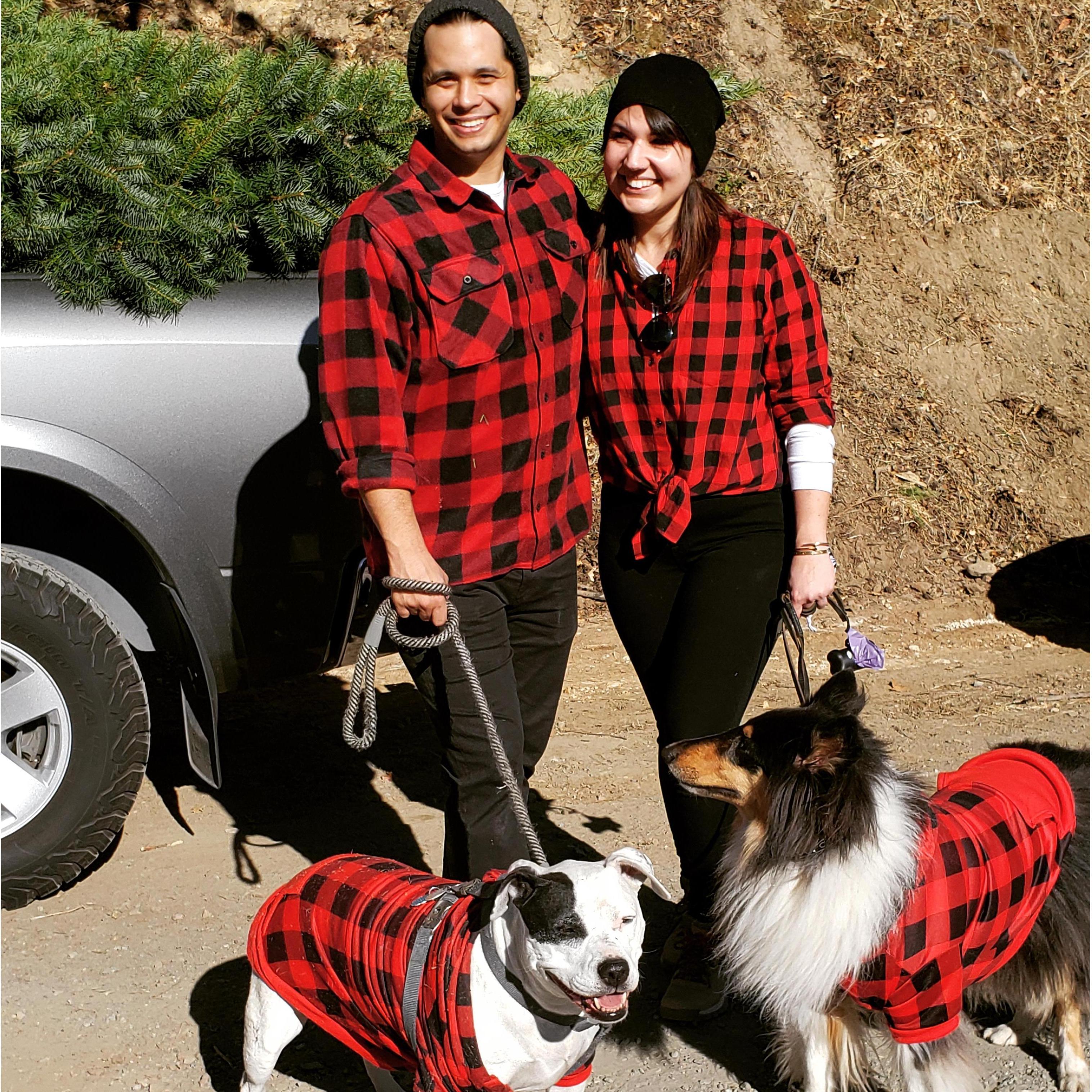 Getting our first Christmas tree! I knew he was right for me since he was ok with all the matching plaid