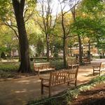 Rittenhouse Square Park