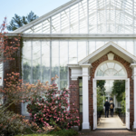 Planting Fields Arboretum