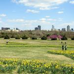 Dorothea Dix Park