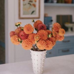 Thrifted Vase - Medium