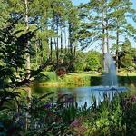 Cape Fear Botanical Garden & River Trail