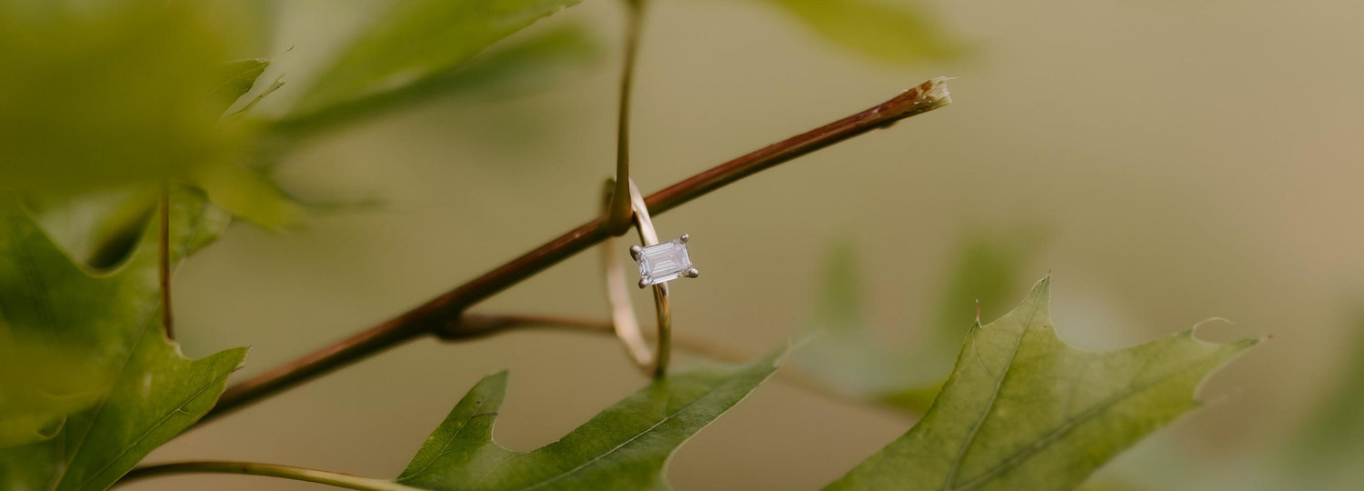 The Wedding Website of Mallory McNew and Connor Barnett