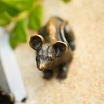 Mice on Main