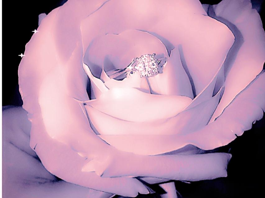 The Wedding Website of Daryzzia Keasler and Michael Borjas