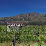 St. Francis Winery
