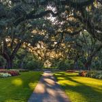 Brookgreen Gardens