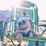 Sandbridge Beach